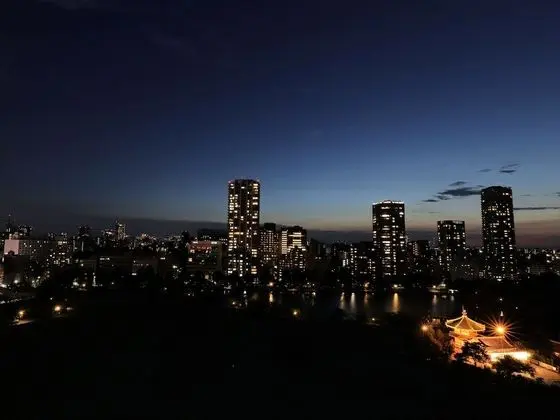 Basic Tek Kişilik Oda, Sigara İçilmez (Lake & City View)