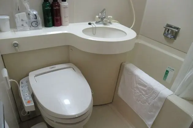 Standard Tek Kişilik Oda, 1 Tek Kişilik XL Yatak, Sigara İçilebilir