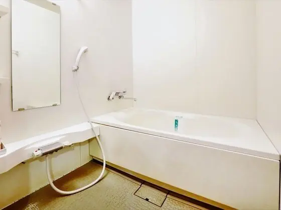 Economy Üç Kişilik Oda, Sigara İçilebilir (2 Single Beds and 1 Extra Beds)