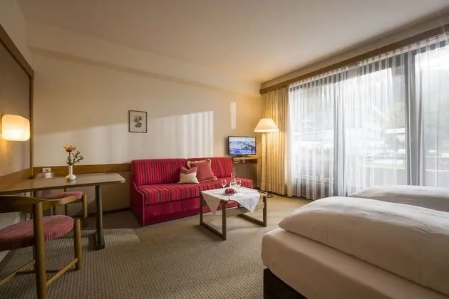 Studio, balcony, mountain view ( plus final cleaning fee 70 EUR to be paid on spot )