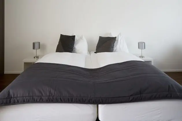 Business Tek Büyük veya İki Ayrı Yataklı Oda, Balkon (kitchenette)