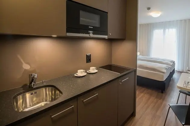 Business Tek Büyük veya İki Ayrı Yataklı Oda, Balkon (kitchenette)