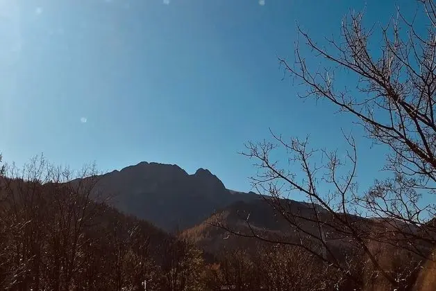 Apart Daire (Cynamon)