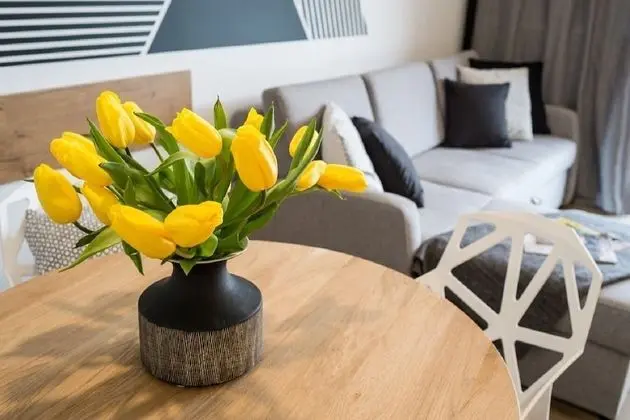 Apart Daire (Wulkan)