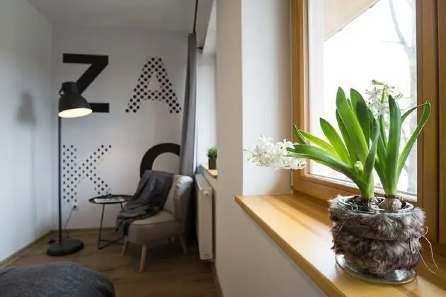 Apart Daire (Wulkan)