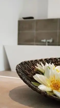 Gallery Süit