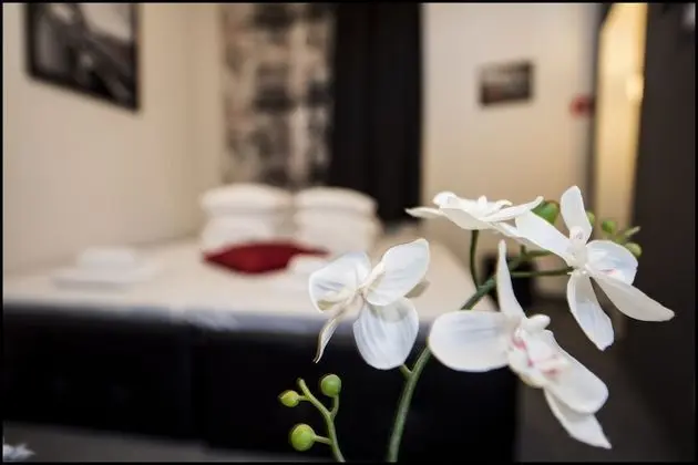 Luxury Apart Daire, 1 Büyük (Queen) Boy Yatak
