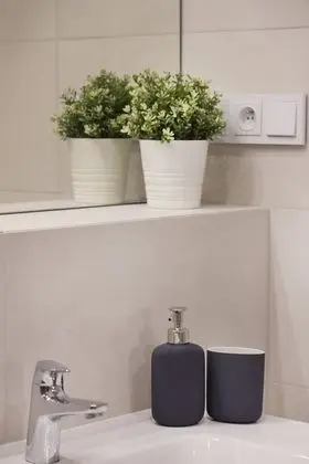 Premium Apart Daire, 1 Yatak Odası