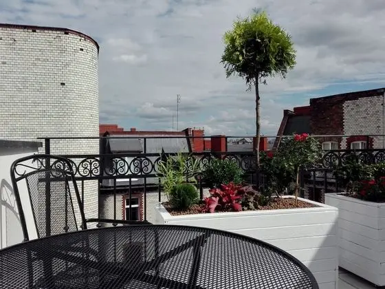 Tek Büyük Yataklı Oda, Teras