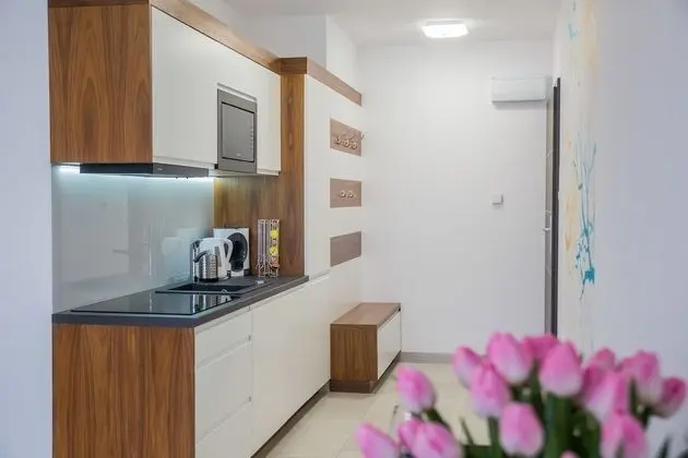 Apart Daire, 1 Yatak Odası