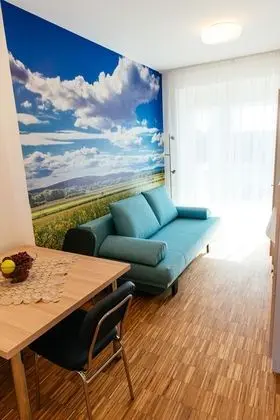 Apart Daire (Rapsfeld incl. 40€ cleaning fee)
