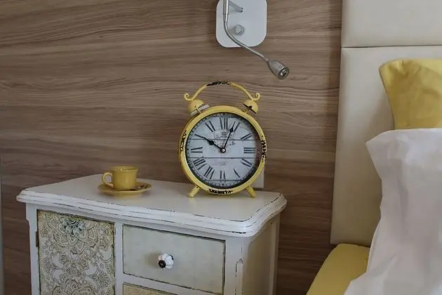 Standard Tek Büyük Yataklı Oda (1)