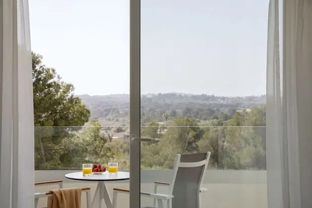 Standard Tek Büyük Yataklı Oda, 2 Tek Kişilik Yatak, Balkon, Havuz Manzaralı