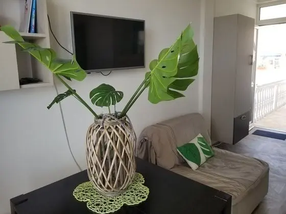 Comfort Stüdyo, Deniz Manzaralı (Tropicano)