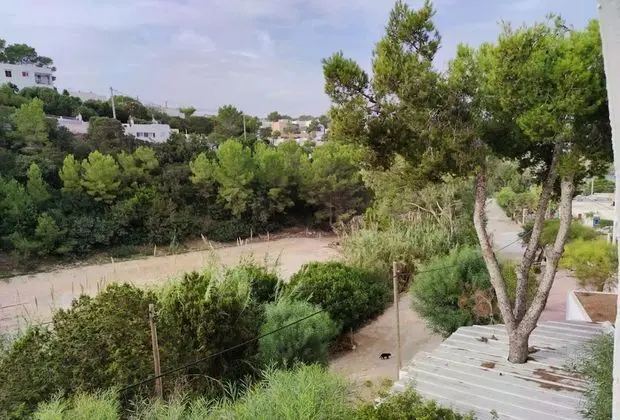 Comfort Apart Daire, 1 Yatak Odası, Balkon
