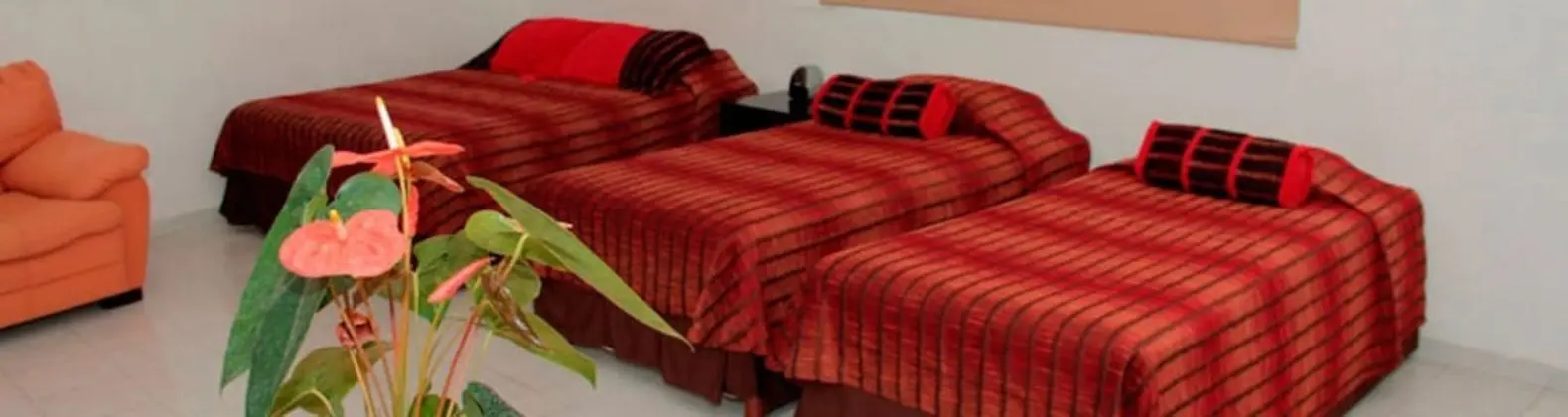 Süit, 1 Yatak Odası (Master Suite)