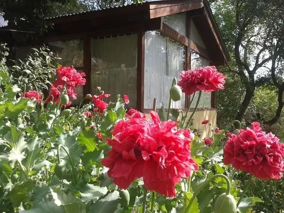 Kulübe, 1 Yatak Odası (Del Mirador)