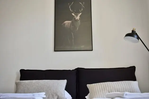 Superior Apart Daire, 2 Yatak Odası