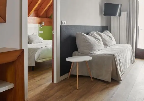 Apart Daire, 1 Yatak Odası (4 People)