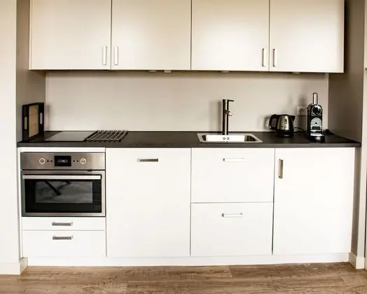 Deluxe Stüdyo Süit, 1 Büyük (Queen) Boy Yatak, Sigara İçilmez, Mutfak