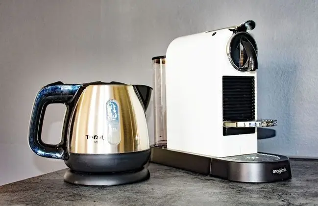 Deluxe Stüdyo Süit, 1 Büyük (Queen) Boy Yatak, Sigara İçilmez, Mutfak