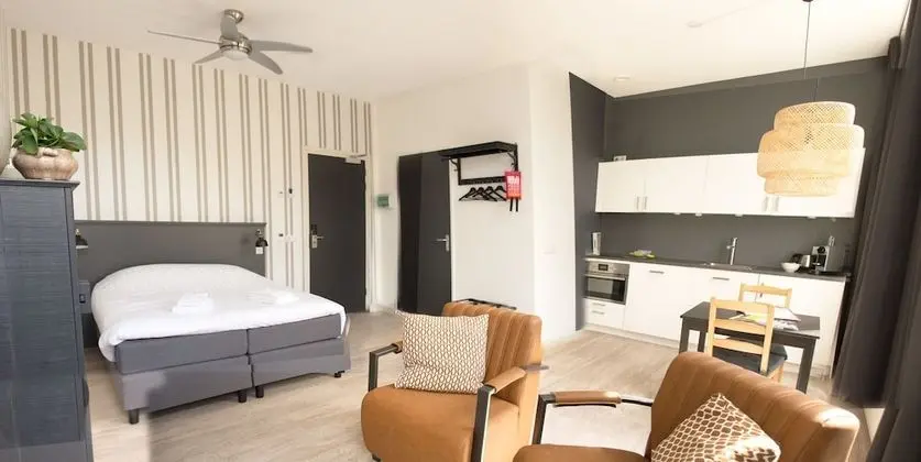 Junior Stüdyo Süit, Balkon, Şehir Manzaralı (Ringrijden)