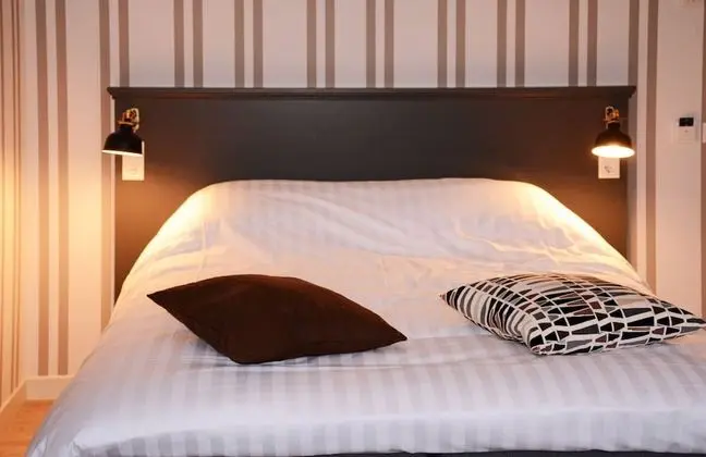 Junior Stüdyo Süit, Balkon, Şehir Manzaralı (Ringrijden)