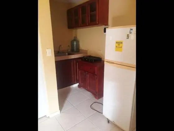 Apart Daire, 1 Yatak Odası, Teras