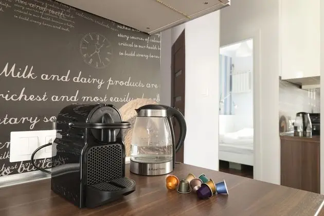 Apart Daire, 1 Yatak Odası (Chmielna 122)