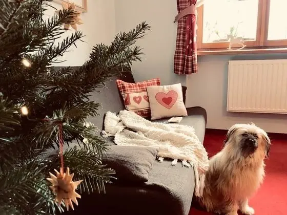 Apart Daire, Birden Çok Yatak, Sigara İçilmez, Bahçe Manzaralı