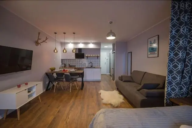 Apart Daire (Retro Ski / Bukowa 17a Street)