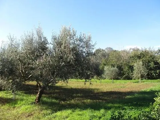 Apart Daire, 4 Yatak Odası, Veranda