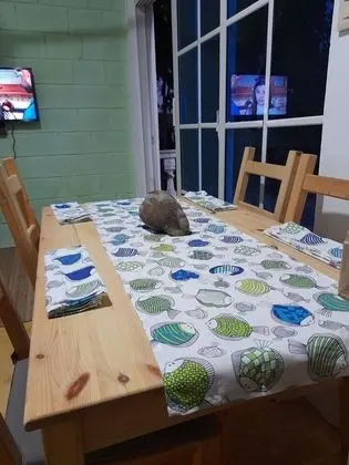 Apart Daire, 1 Yatak Odası, Engellilere Uygun, Veranda