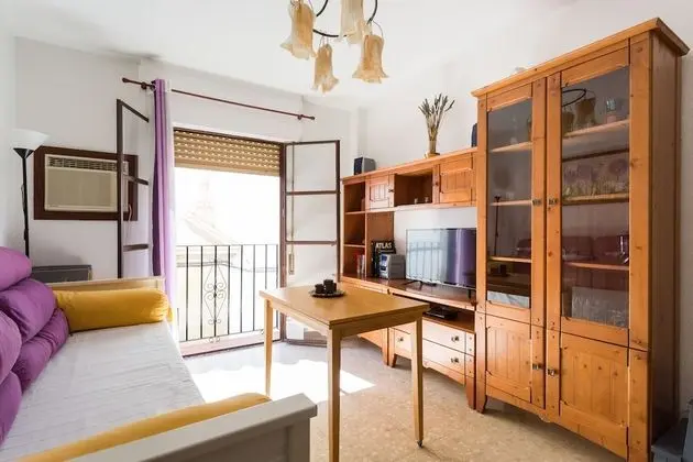 Basic Apart Daire, 1 Yatak Odası