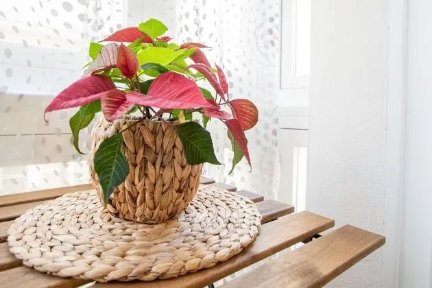 Apart Daire, 1 Yatak Odası, Balkon