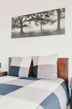 Comfort Apart Daire, 3 Yatak Odası, Teras