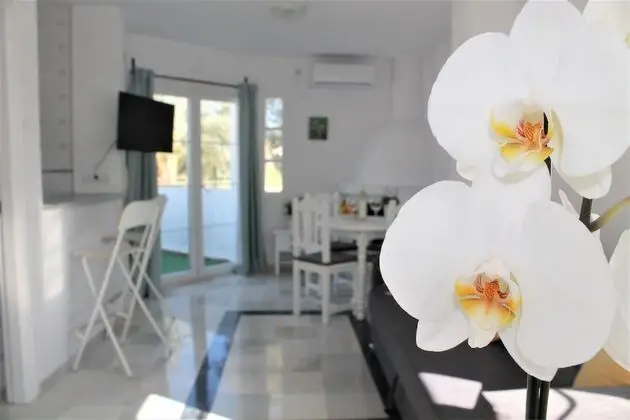 Standard Apart Daire, 1 Yatak Odası, Dağ Manzaralı