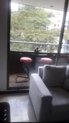 Apart Daire, 2 Yatak Odası, Balkon
