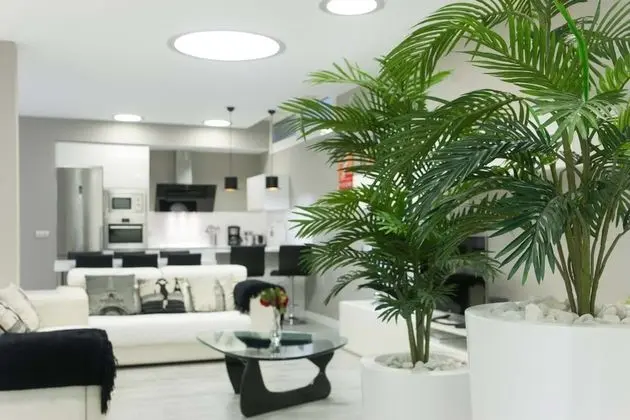 Apart Daire, 3 Yatak Odası