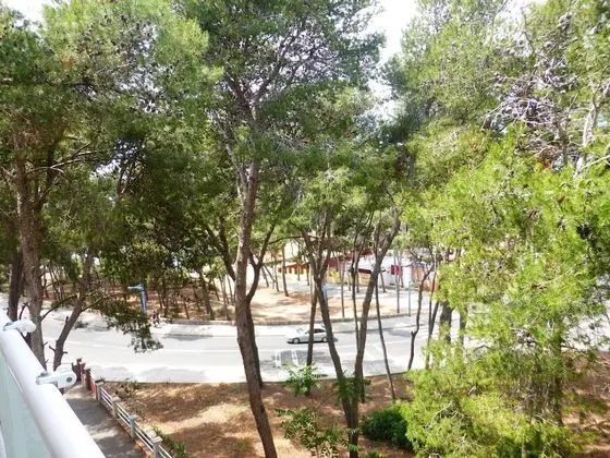 Apart Daire, 3 Yatak Odası, Teras