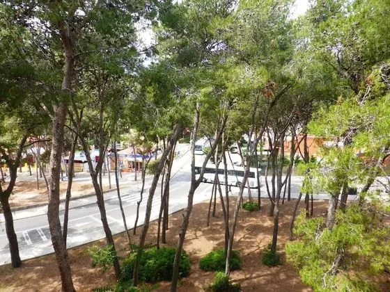 Apart Daire, 3 Yatak Odası, Teras