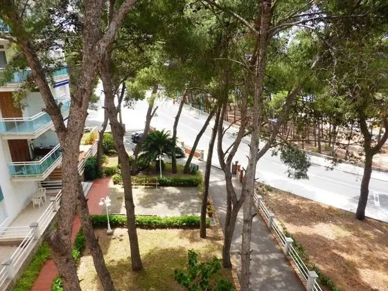 Apart Daire, 3 Yatak Odası, Teras