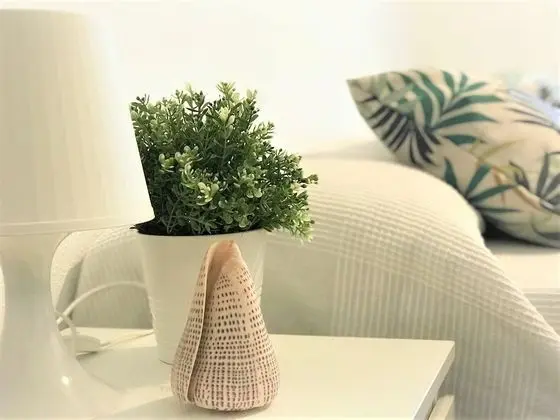 Standard Apart Daire, 2 Yatak Odası