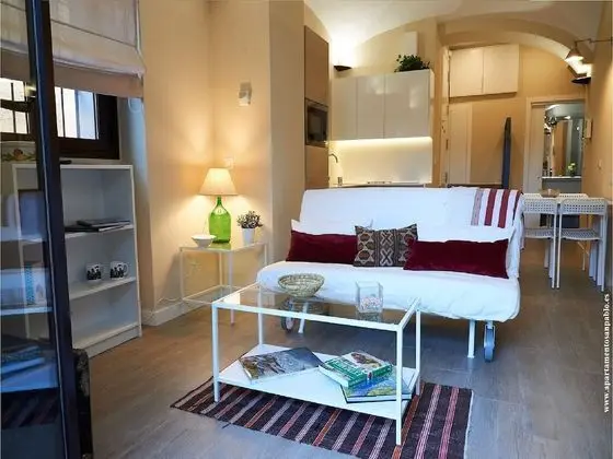 Apart Daire, 1 Yatak Odası