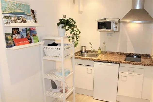 Comfort Apart Daire, 1 Yatak Odası, Balkon, Plaj Manzaralı