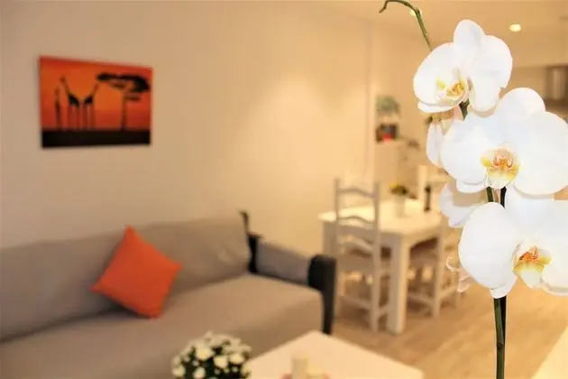 Comfort Apart Daire, 1 Yatak Odası, Balkon, Plaj Manzaralı