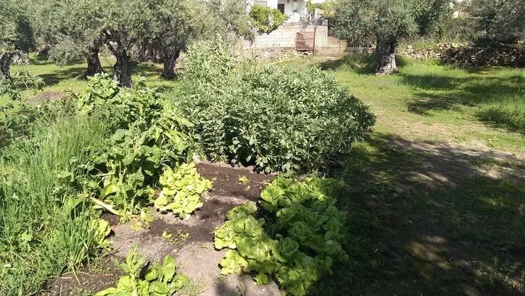 Apart Daire, 1 Yatak Odası, Dağ Manzaralı