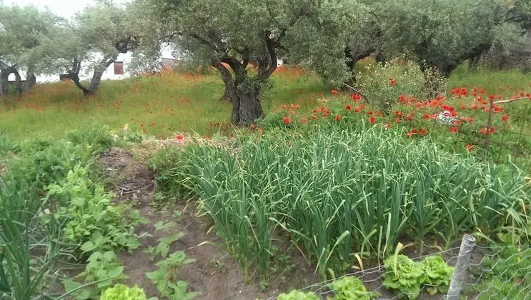 Apart Daire, 1 Yatak Odası, Dağ Manzaralı