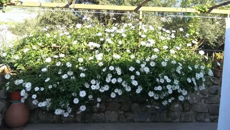 Apart Daire, 1 Yatak Odası, Dağ Manzaralı