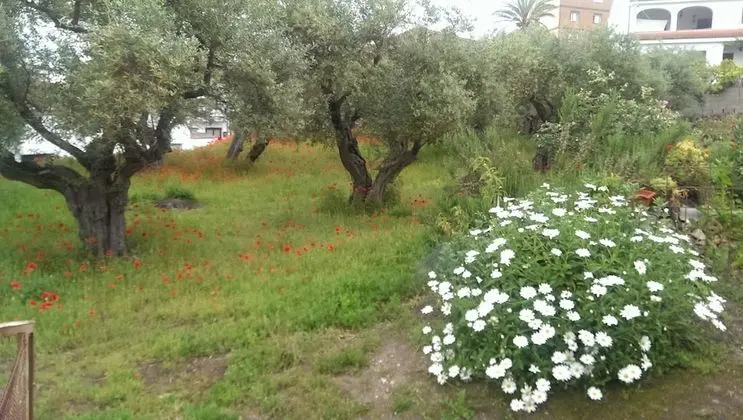 Apart Daire, 1 Yatak Odası, Dağ Manzaralı